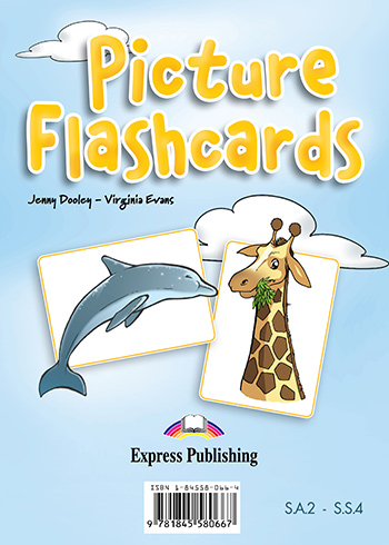 Picture Flashcards 